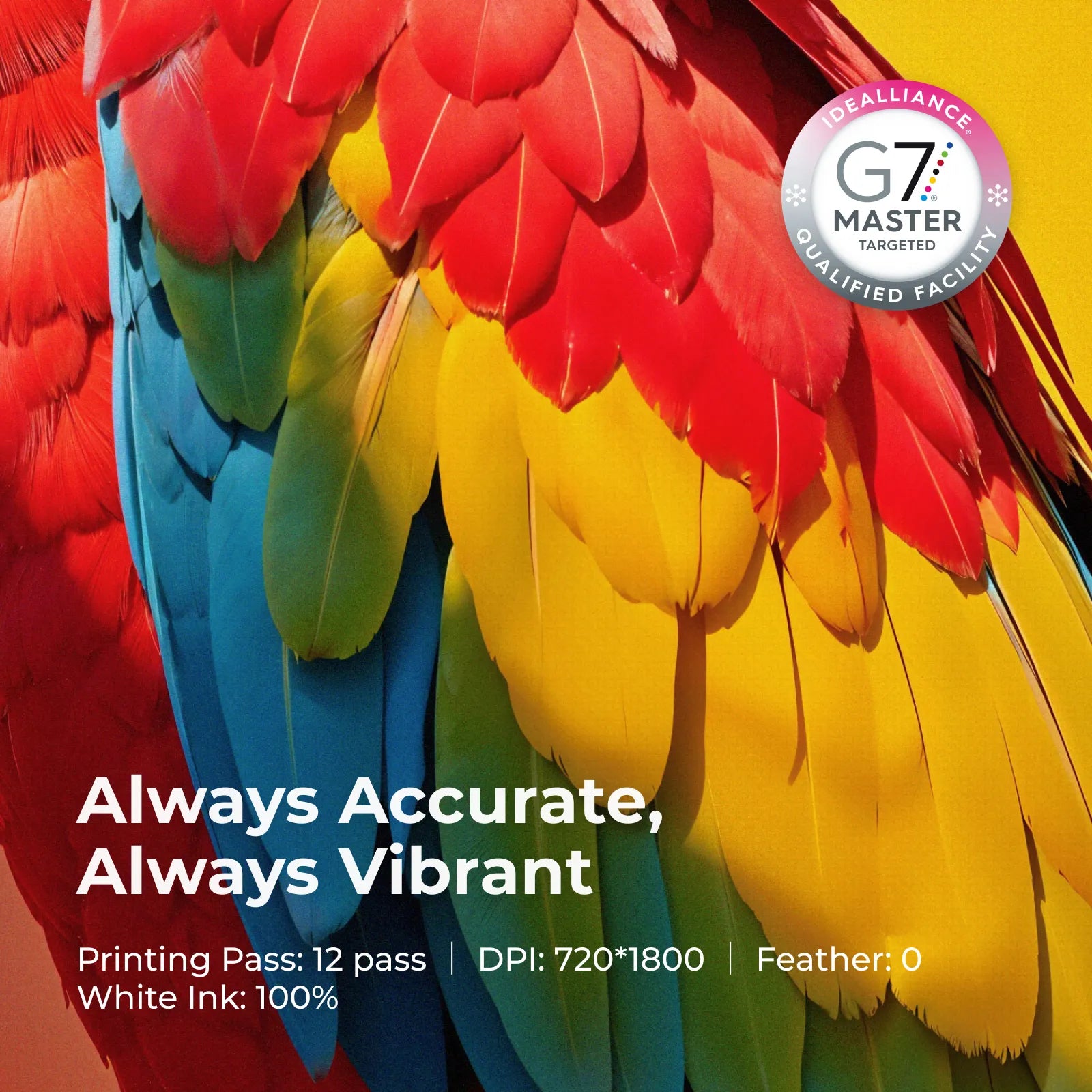 Impresora DTF xTool Apparel All-in-One