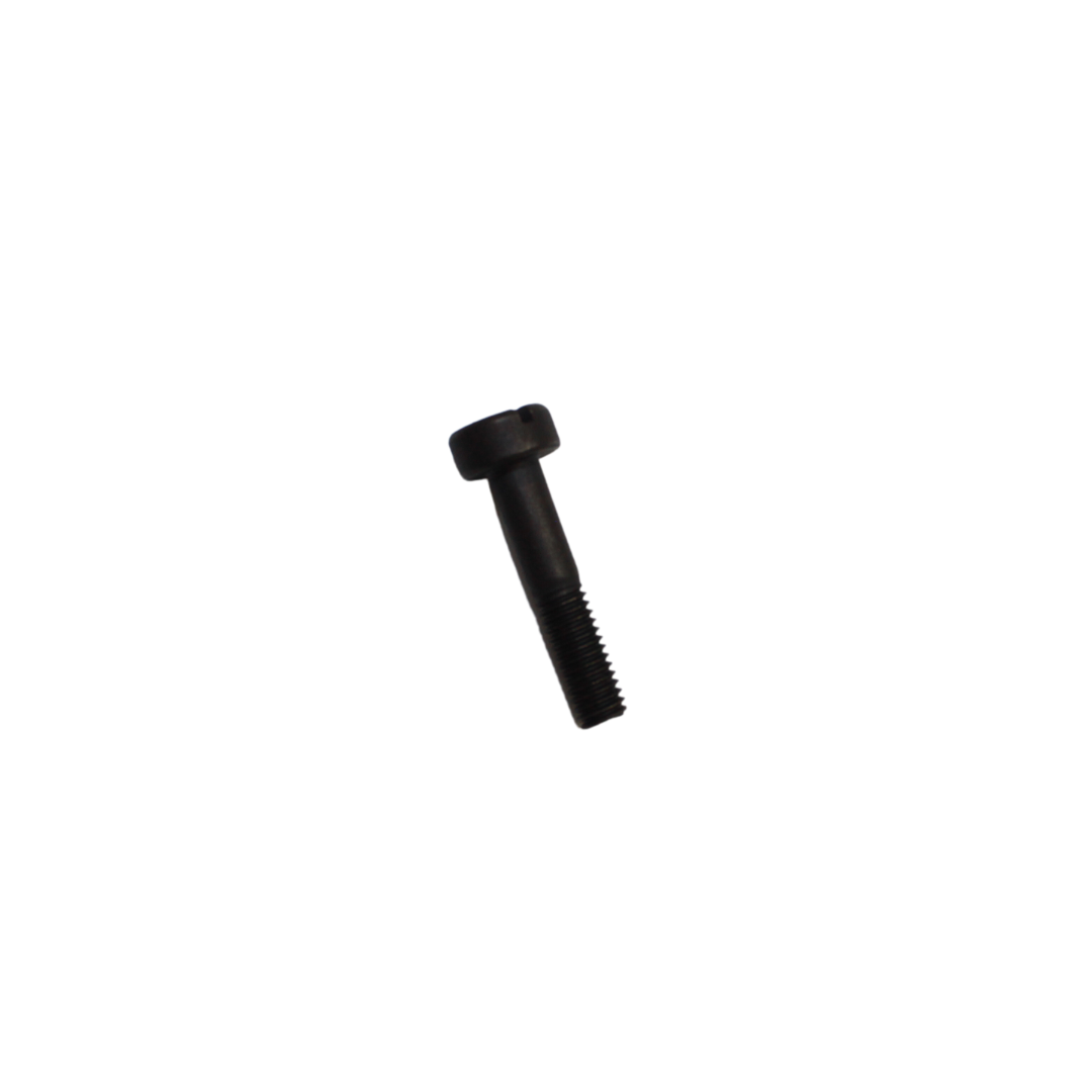 TORNILLO PARA 244111
