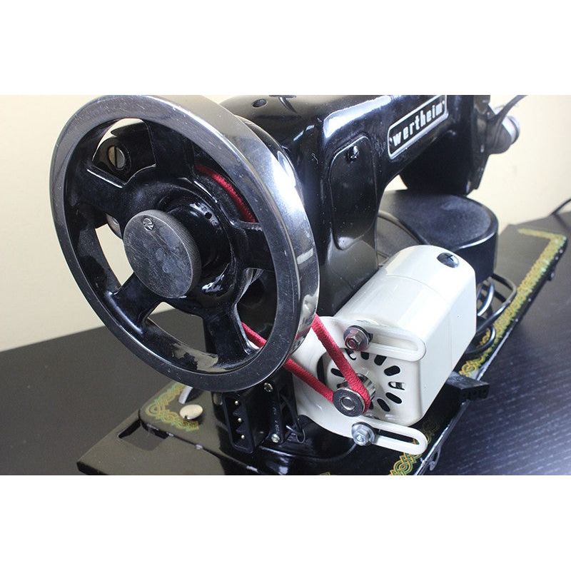 Correa elástica standard