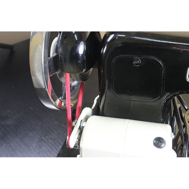 Correa elástica standard