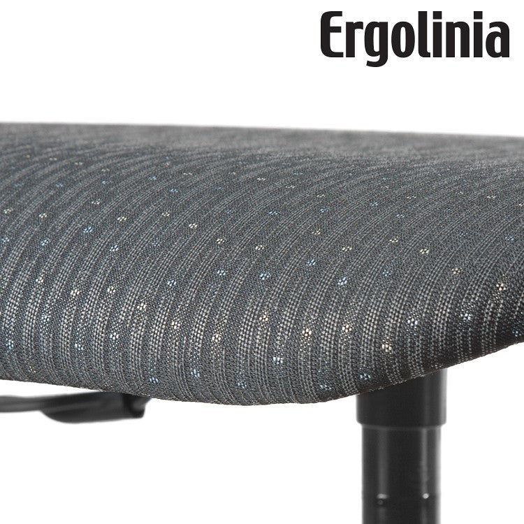 Silla ERGOLINIA EVO2