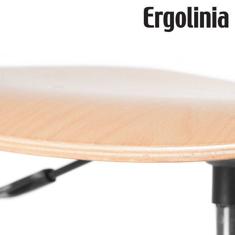 Silla ERGOLINIA EVO4