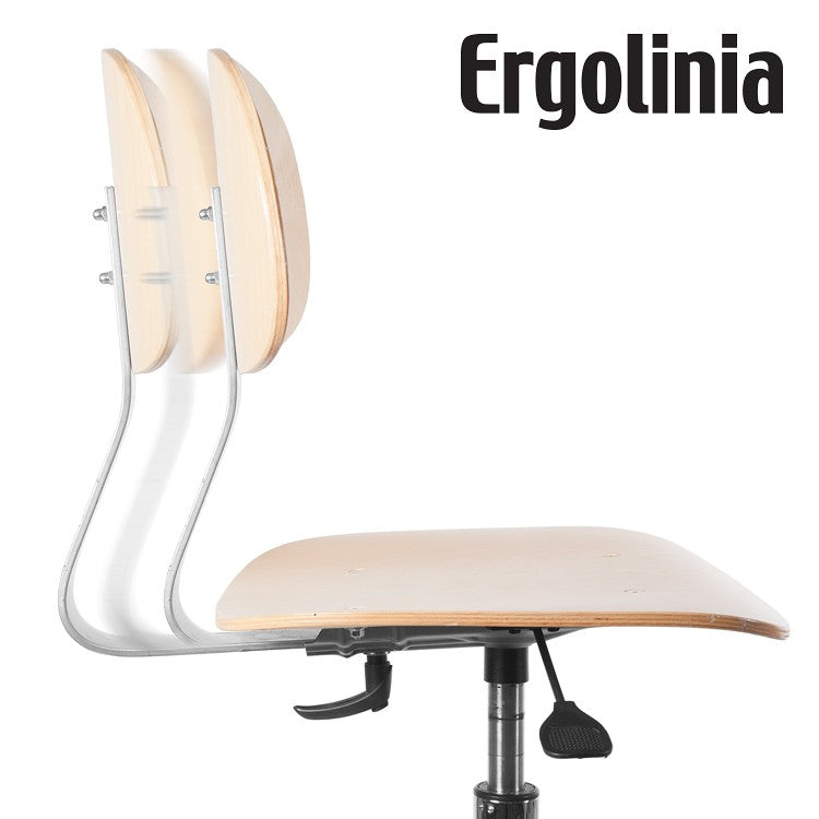 Silla ERGOLINIA EVO4